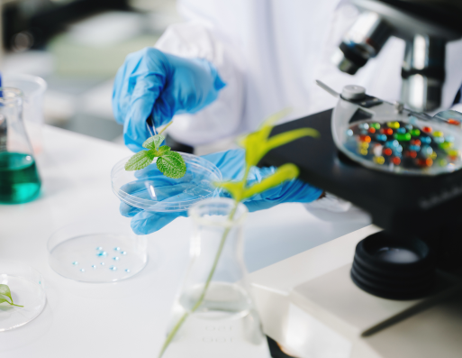 Chứng nhận chất lượng PEDIAKID